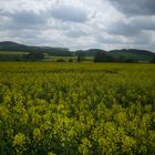 Der Frühling ist da