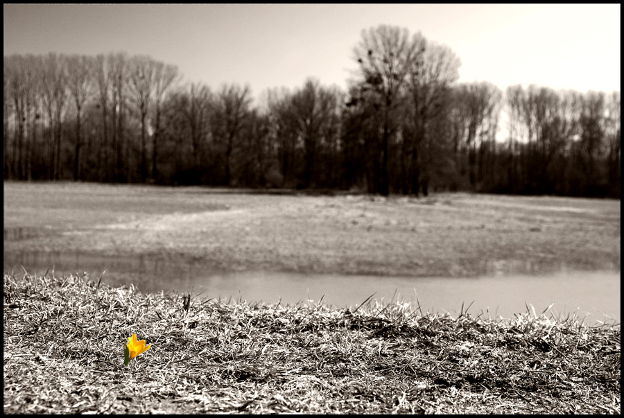 Der Frühling ist da!