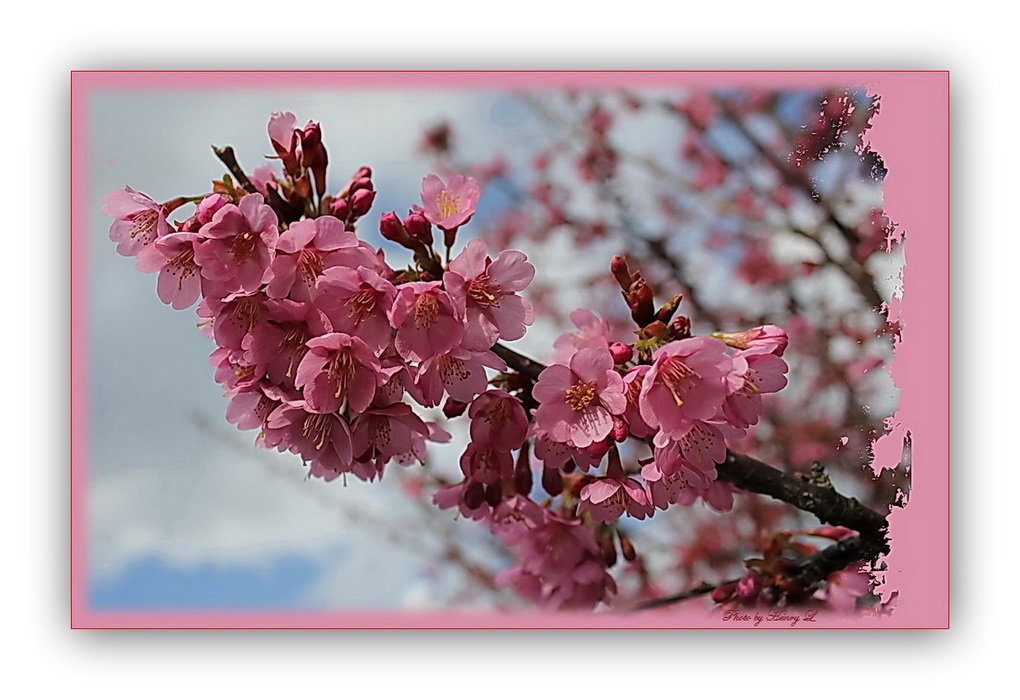 der Frühling ist da