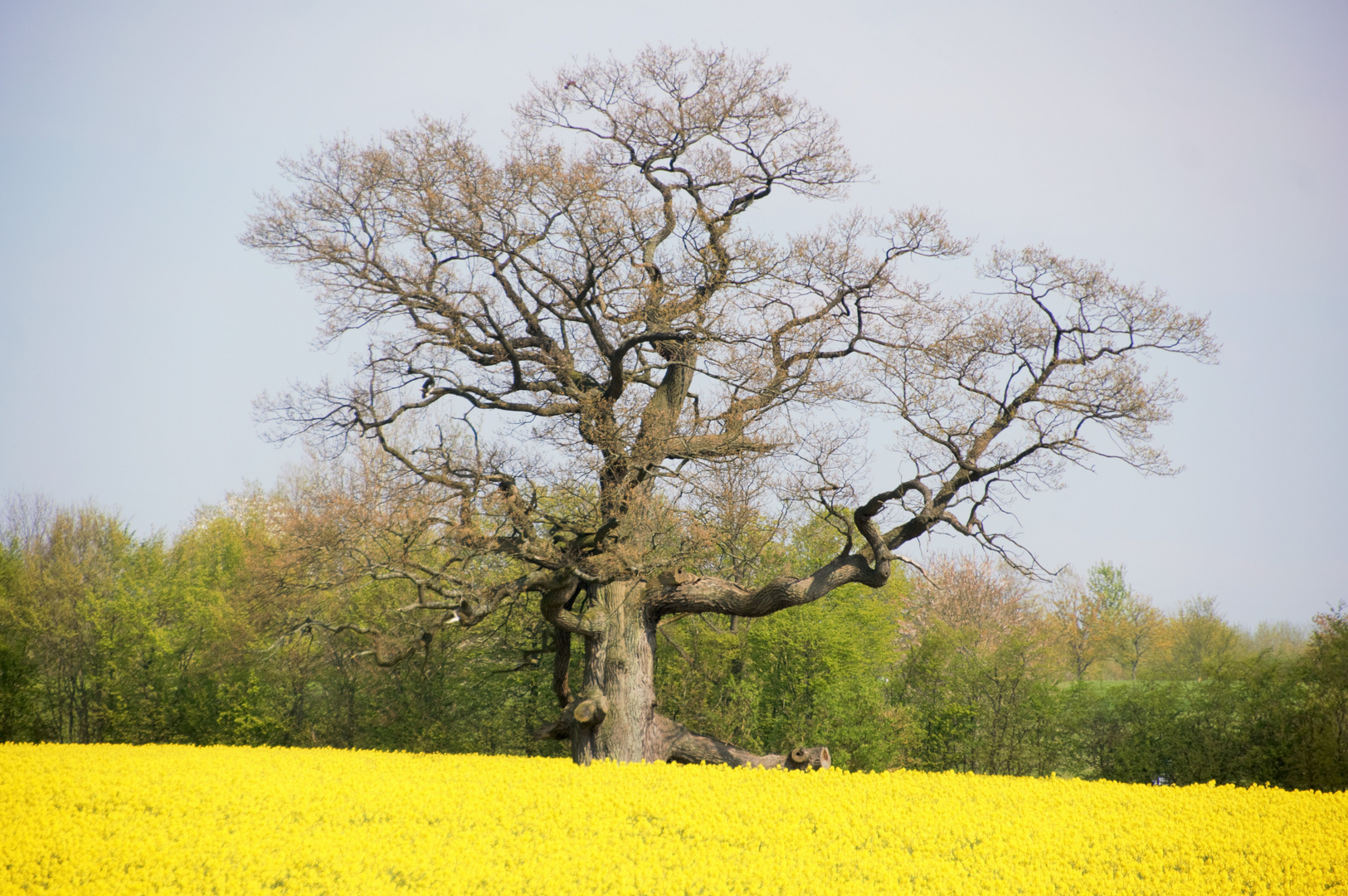 Der Frühling ist da!