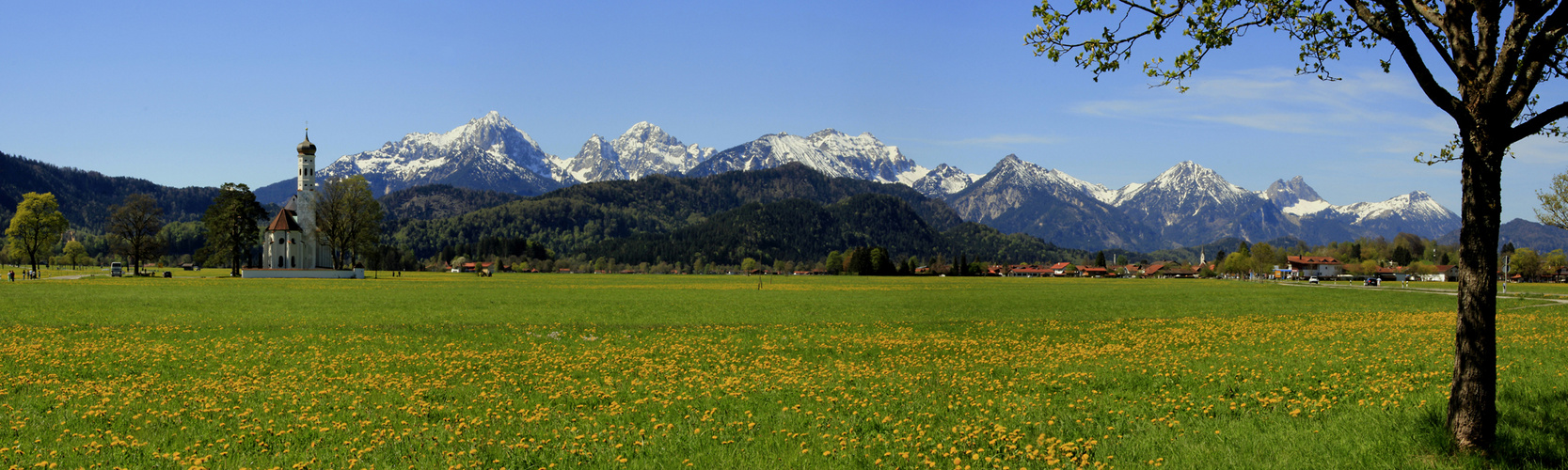 - der frühling ist da -