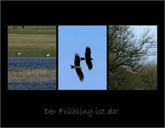 Der Frühling ist da!