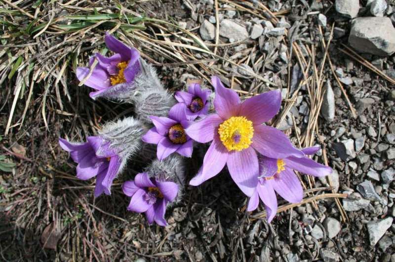 Der Frühling ist da!!