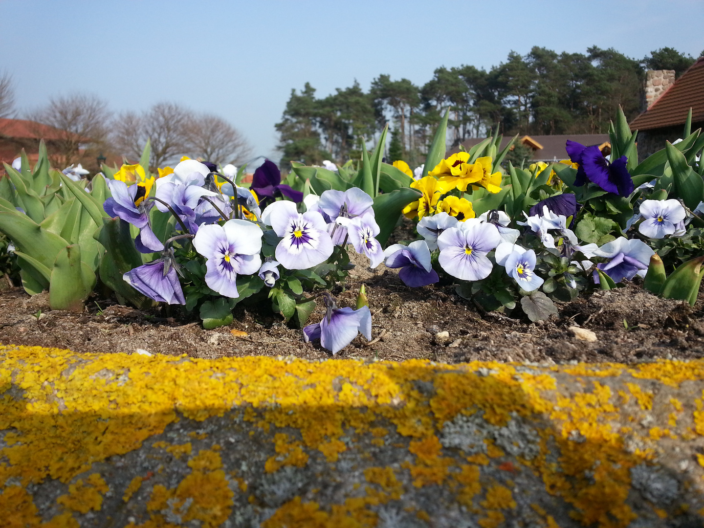 Der Frühling ist da!