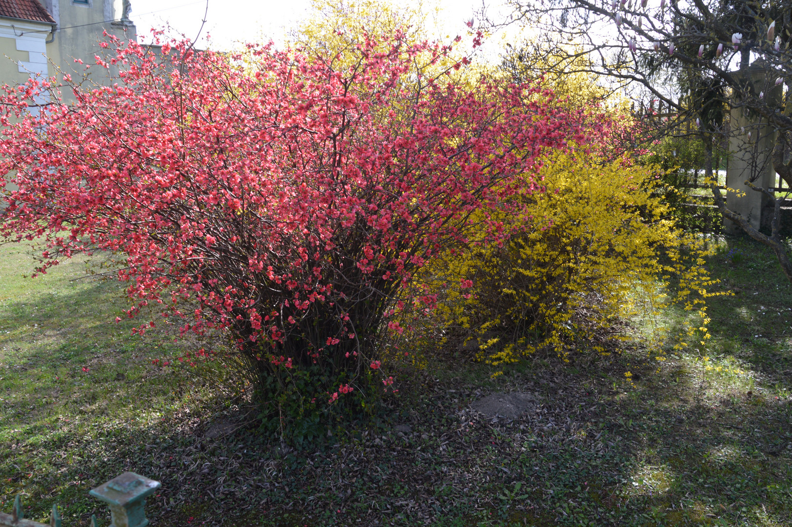 Der Frühling ist da