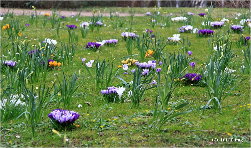 Der Frühling ist da