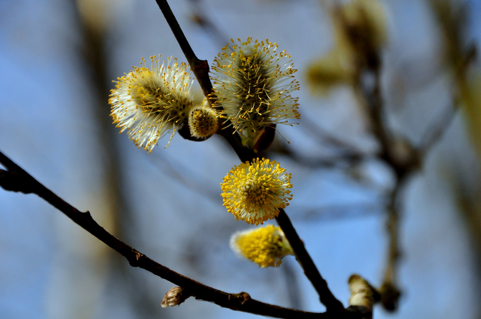 Der Frühling ist da!