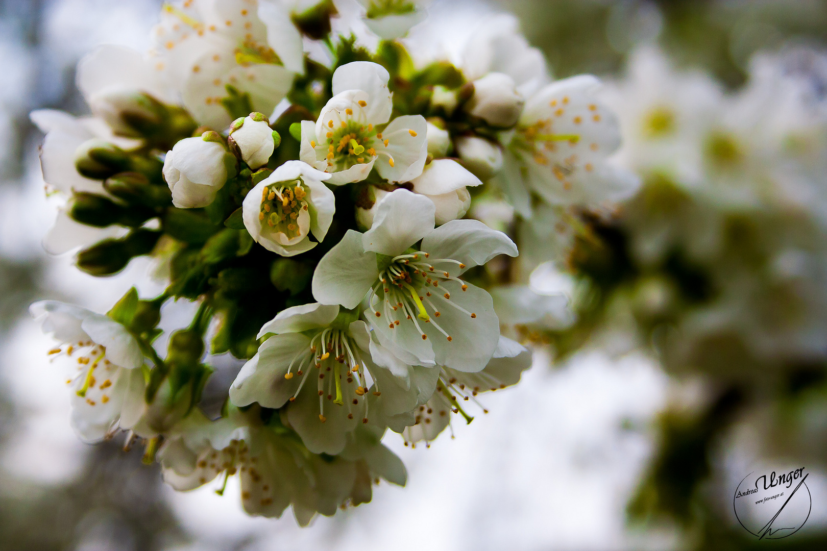 Der Frühling ist da