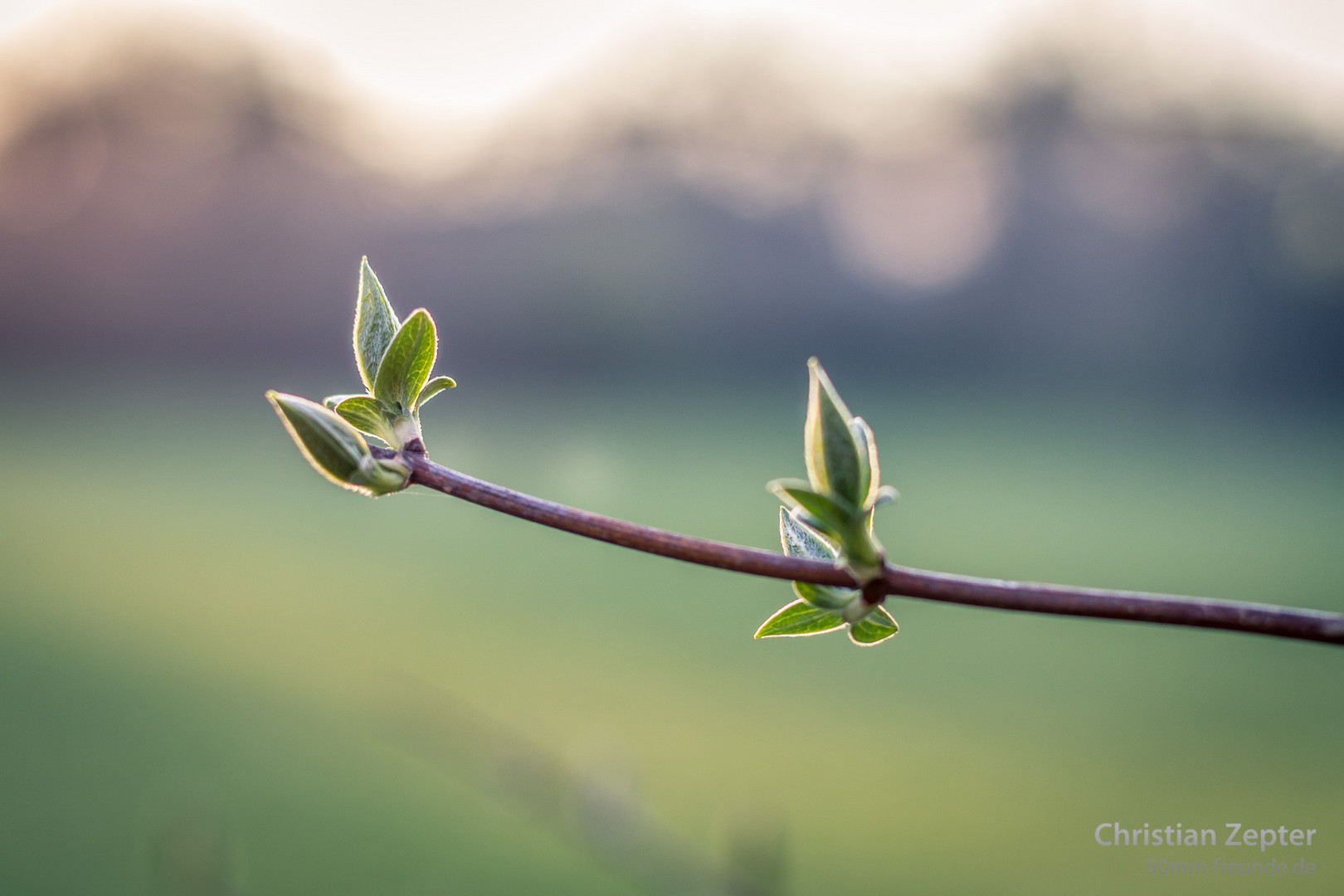 der Frühling ist da!