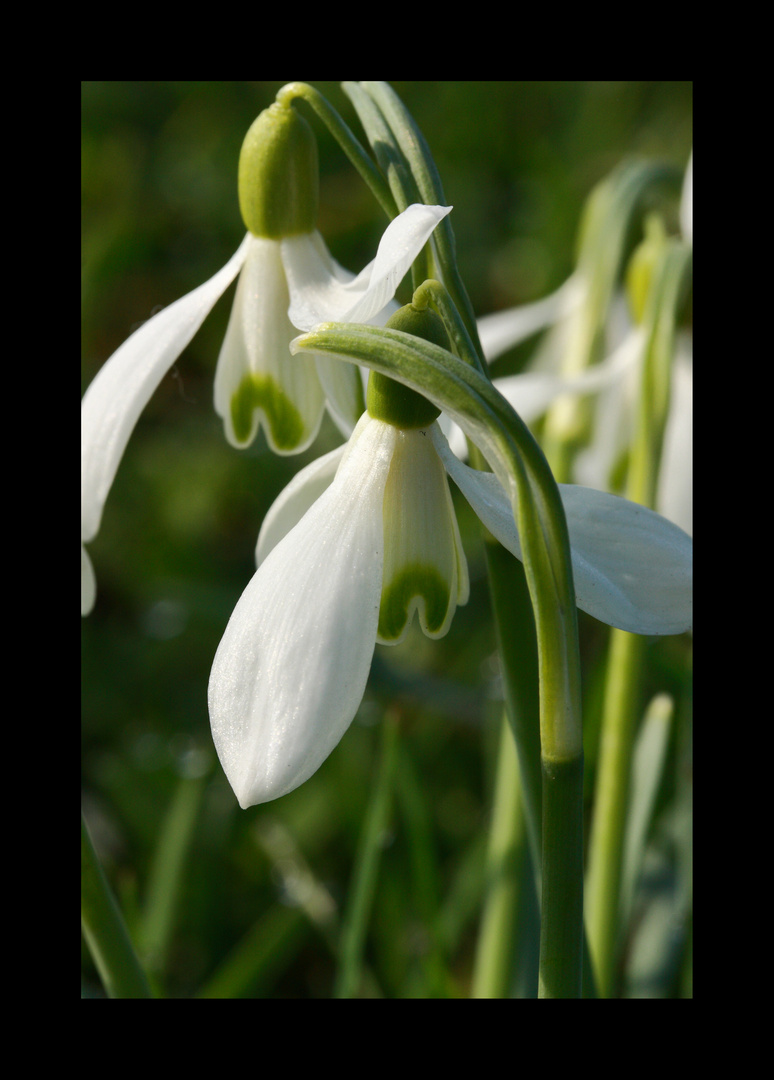 Der Frühling ist da!