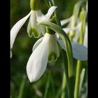 Der Frühling ist da!