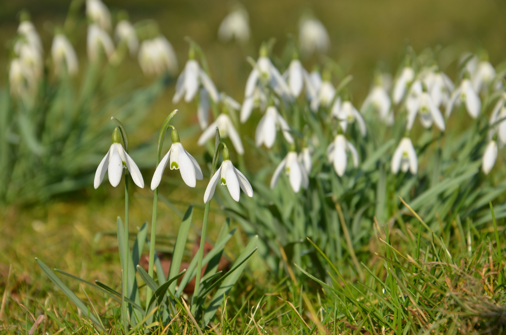 Der Frühling ist da