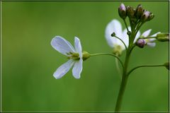 der Frühling ist da!