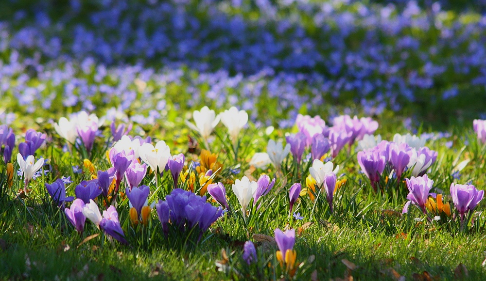 Der Frühling ist da!