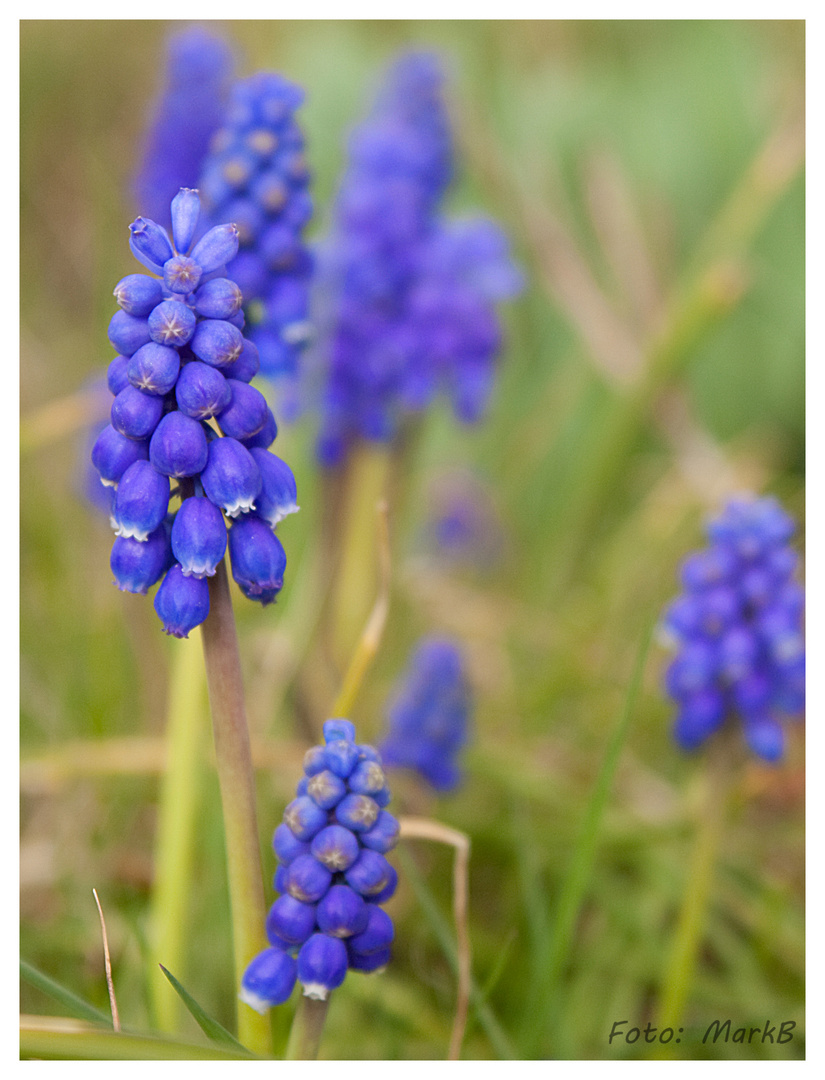 Der Frühling ist da!