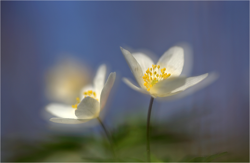 Der Frühling ist da!