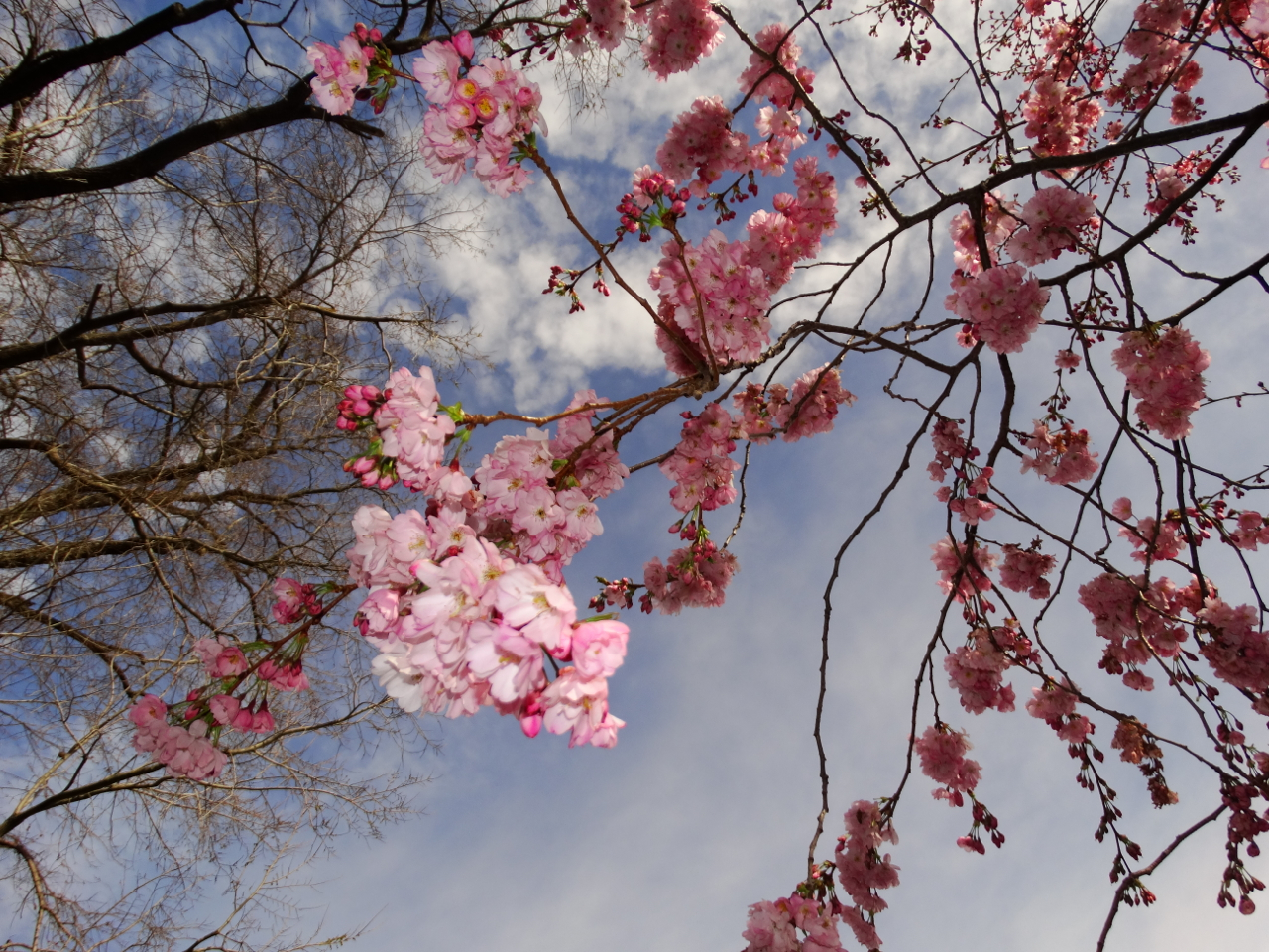 Der Frühling ist da