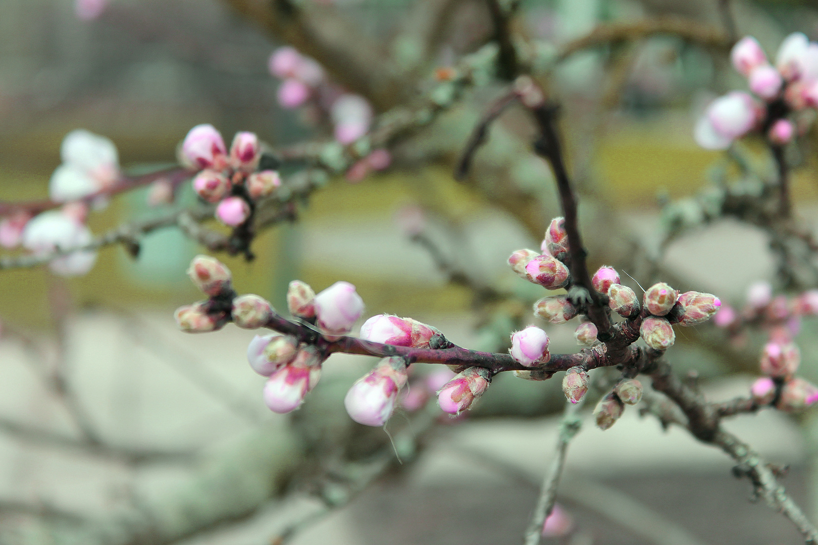 Der Frühling ist da!