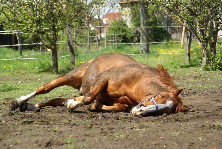 Der Frühling ist da...