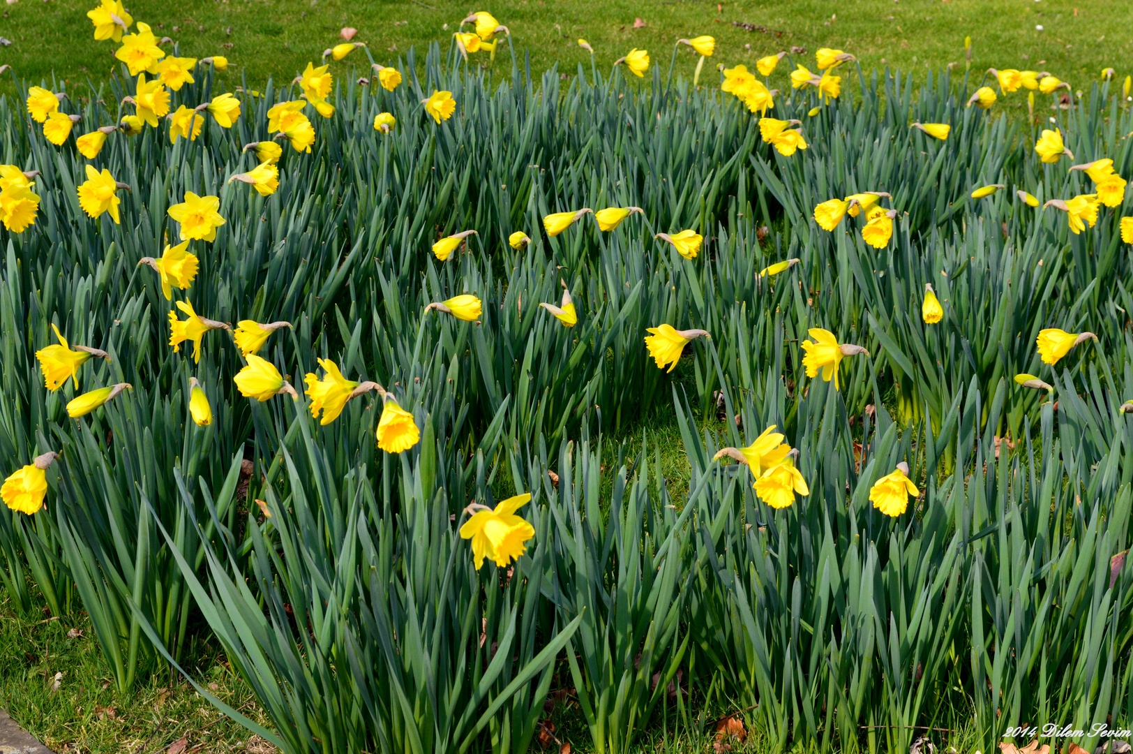 Der Frühling ist da :)