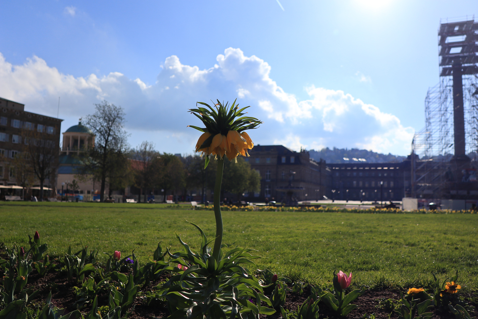 Der Frühling ist da