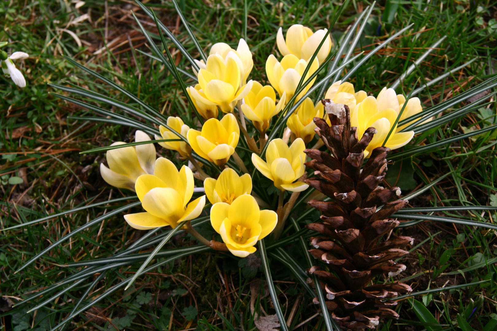 Der Frühling ist da