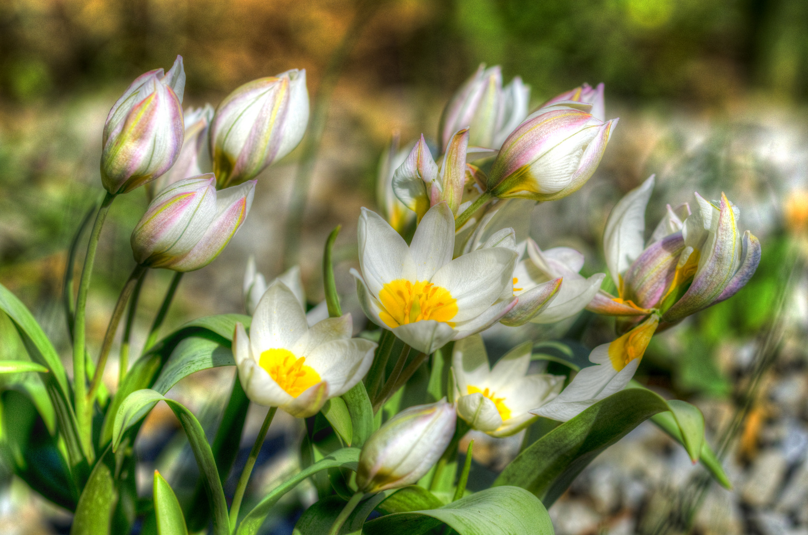 Der Frühling ist da