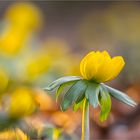 Der Frühling ist da!