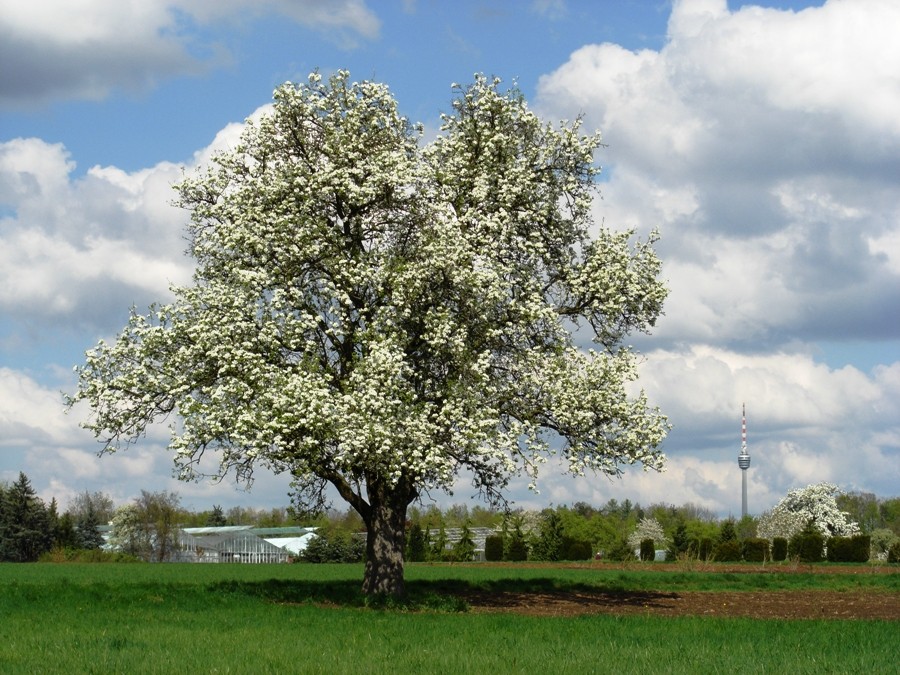 Der Frühling ist da!