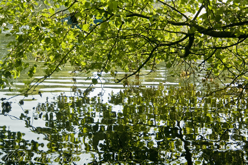 Der Frühling ist da