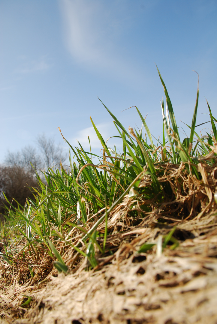 Der Frühling ist da....