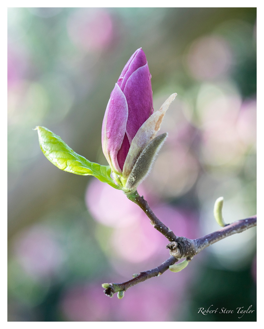 Der Frühling ist da :-)