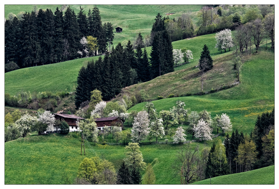 Der Frühling ist da