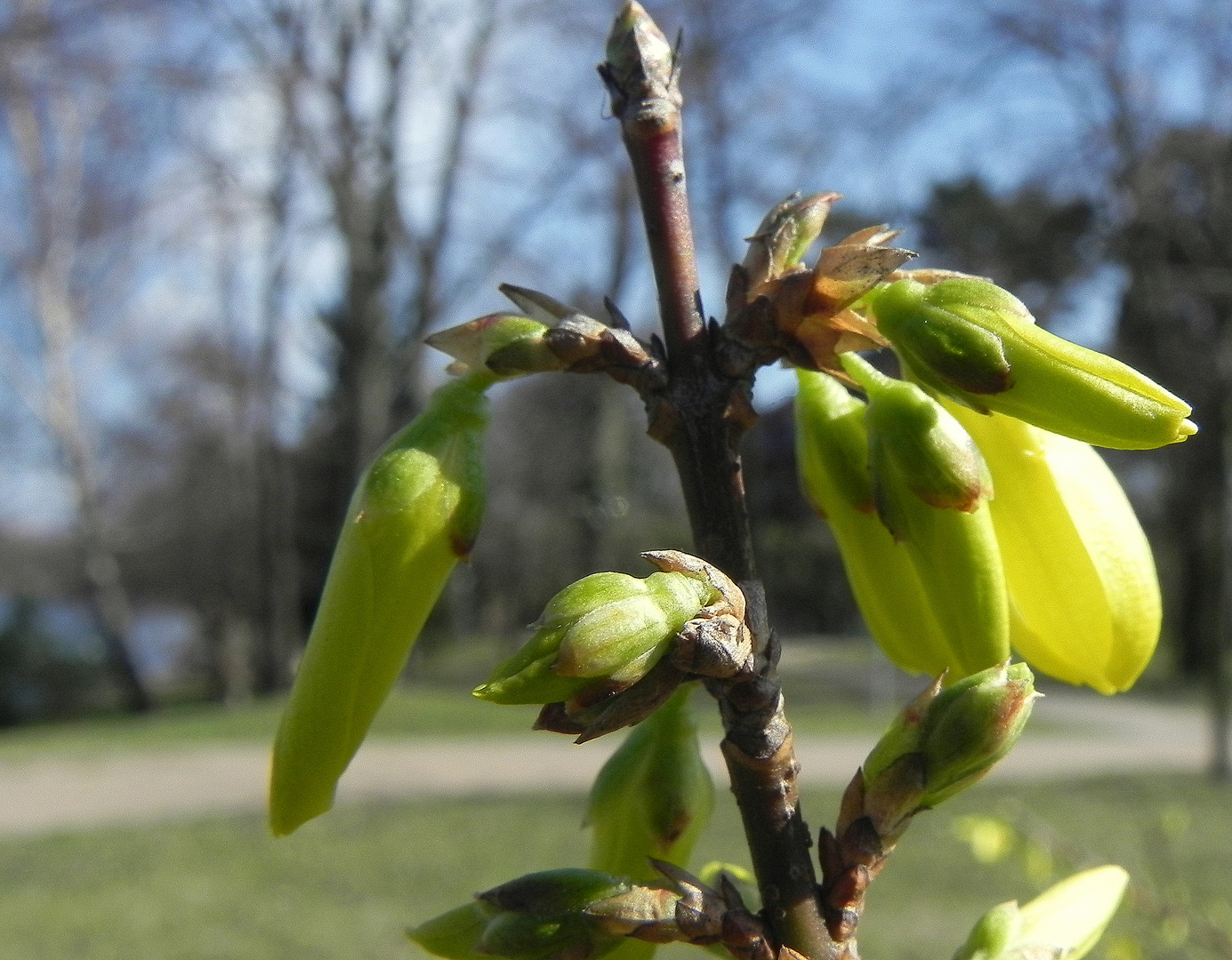 der Frühling ist da!