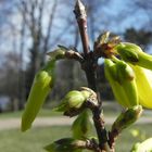 der Frühling ist da!