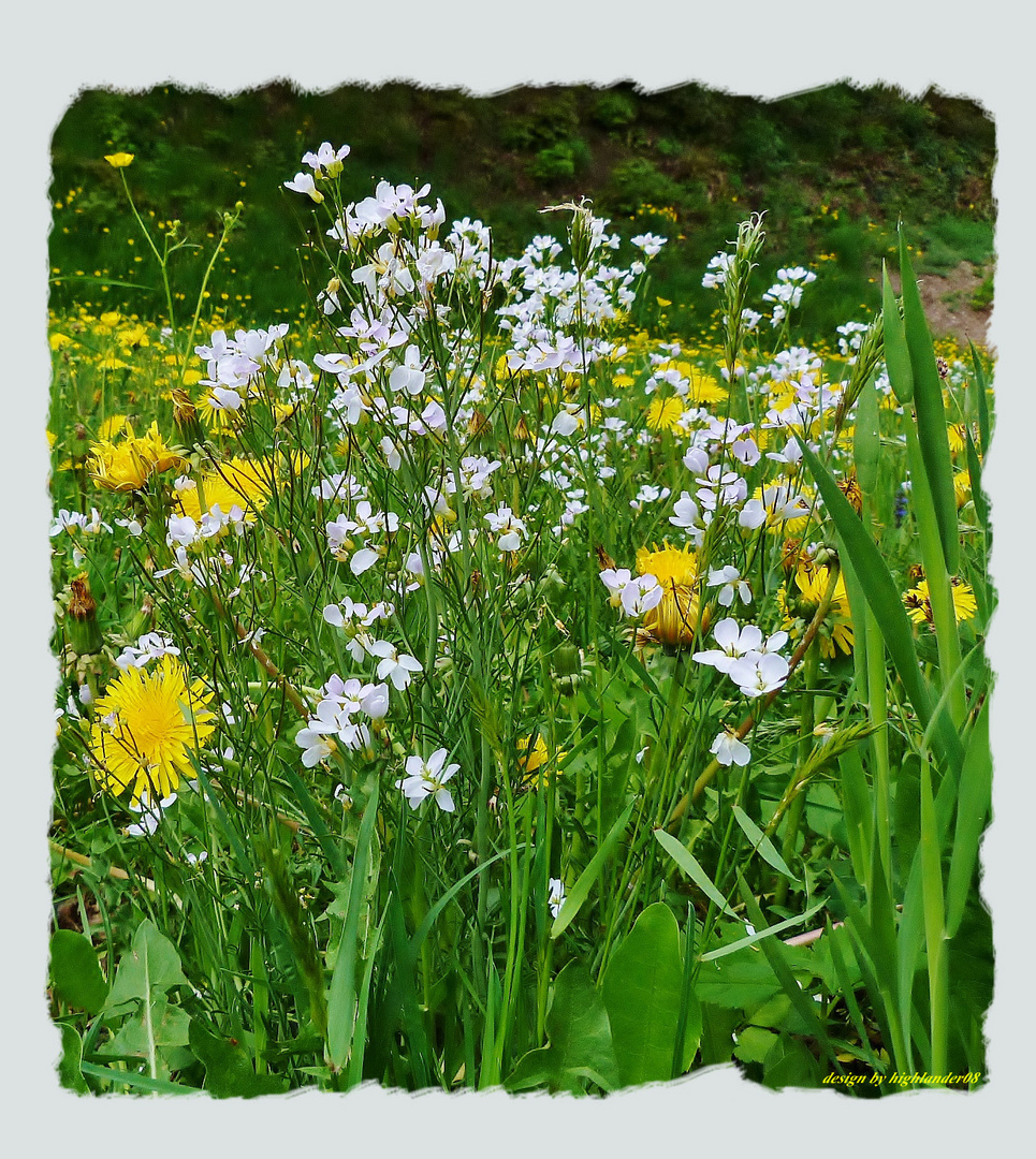 Der Frühling ist da