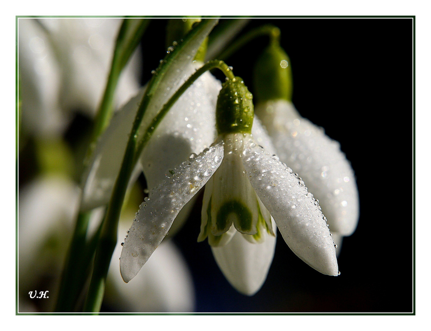 Der Frühling ist da.