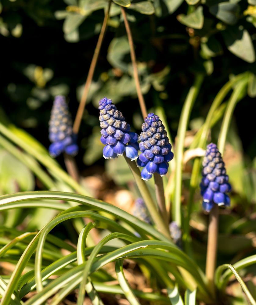 Der Frühling ist da!