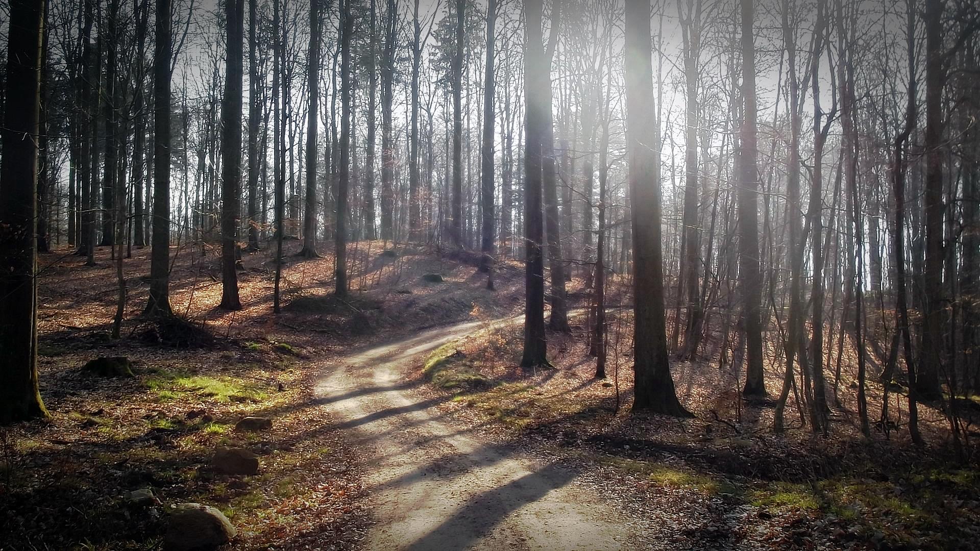 Der Frühling ist da!