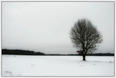 Der Frühling ist da...!