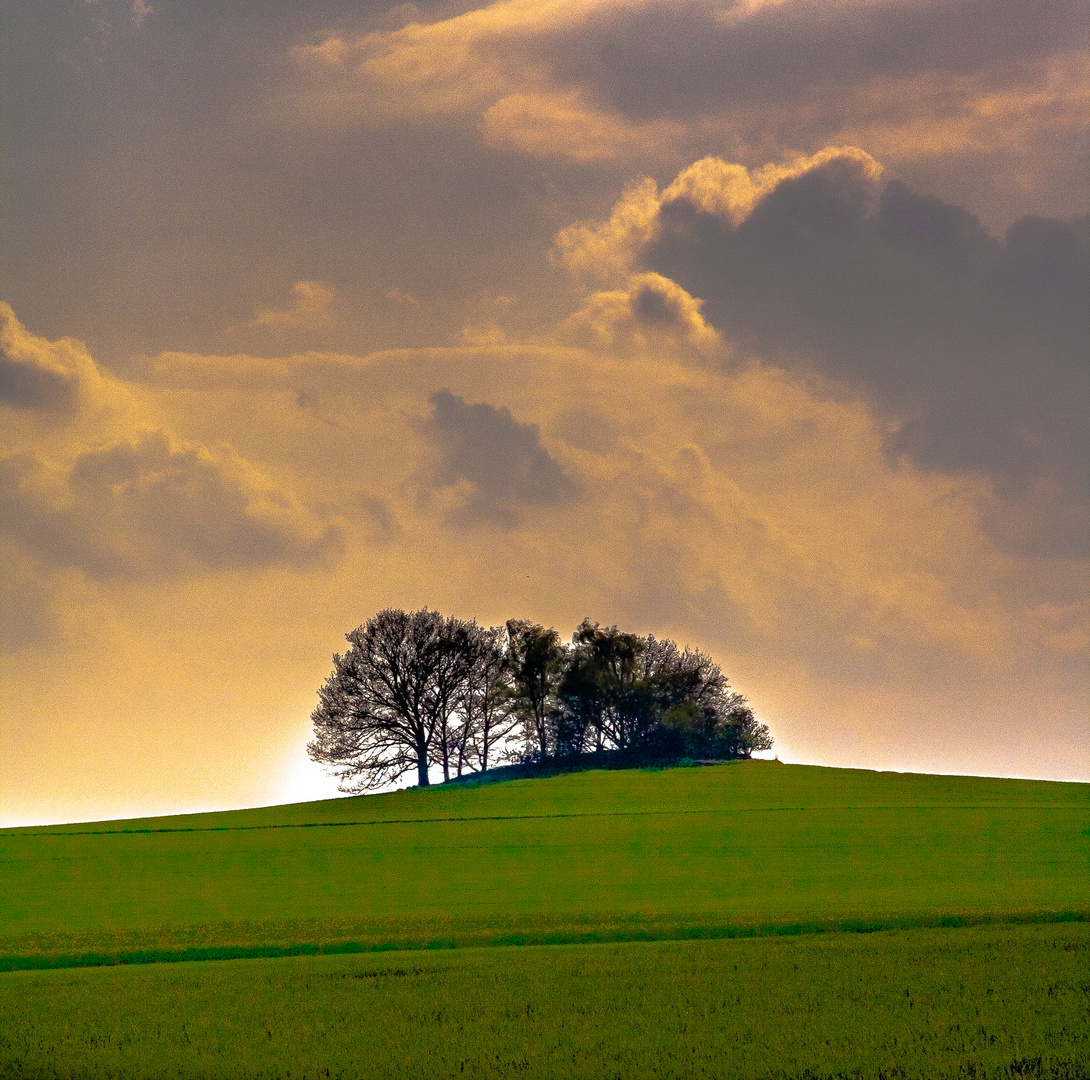 Der Frühling ist da