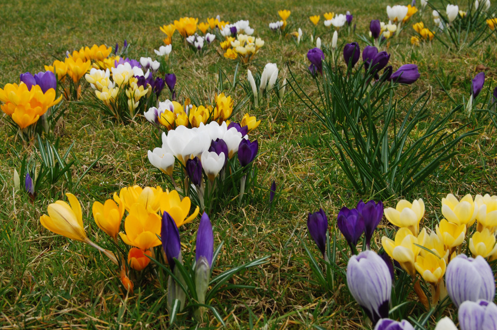 Der Frühling ist da