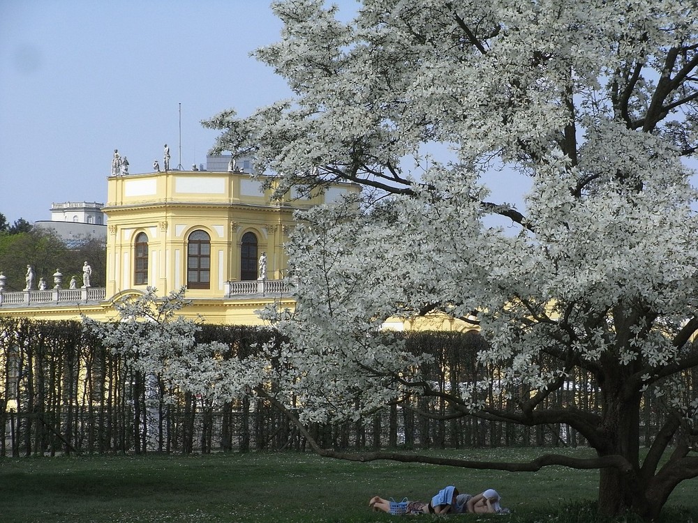 Der Frühling ist da !