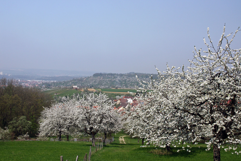 der Frühling ist da