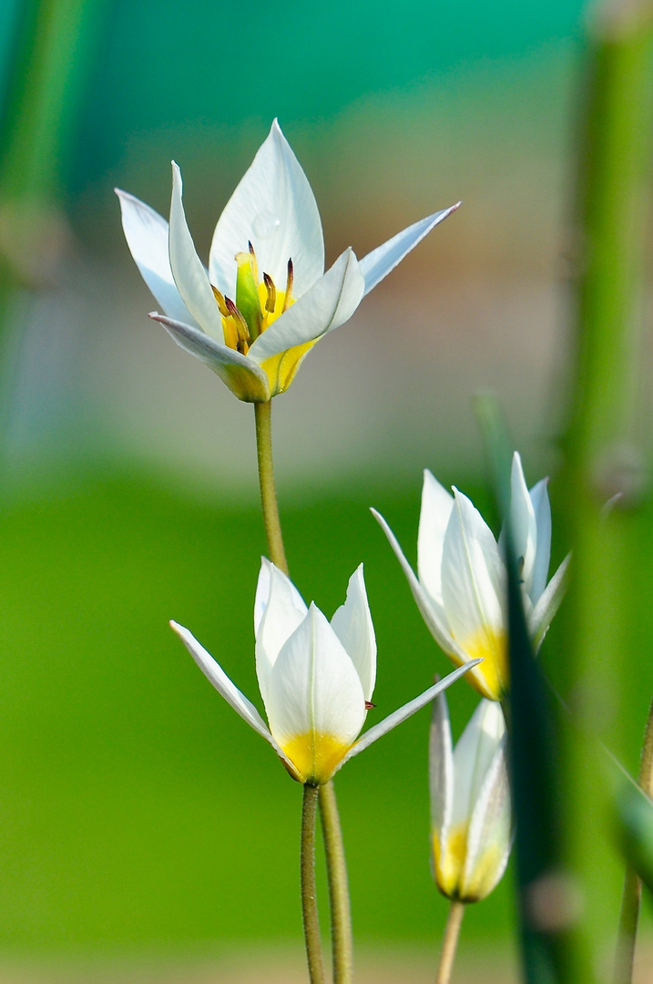 Der Frühling ist da!