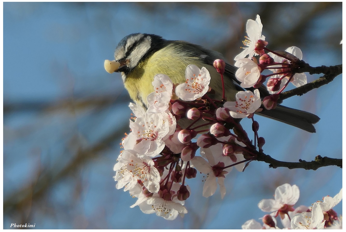 Der Frühling ist da!