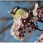 Der Frühling ist da!