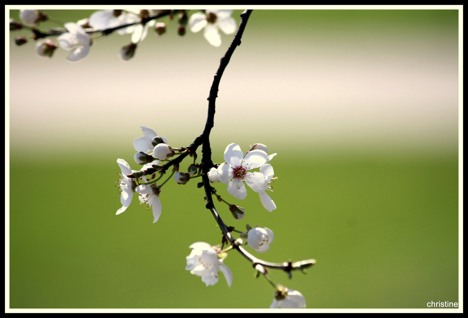 Der Frühling ist da!