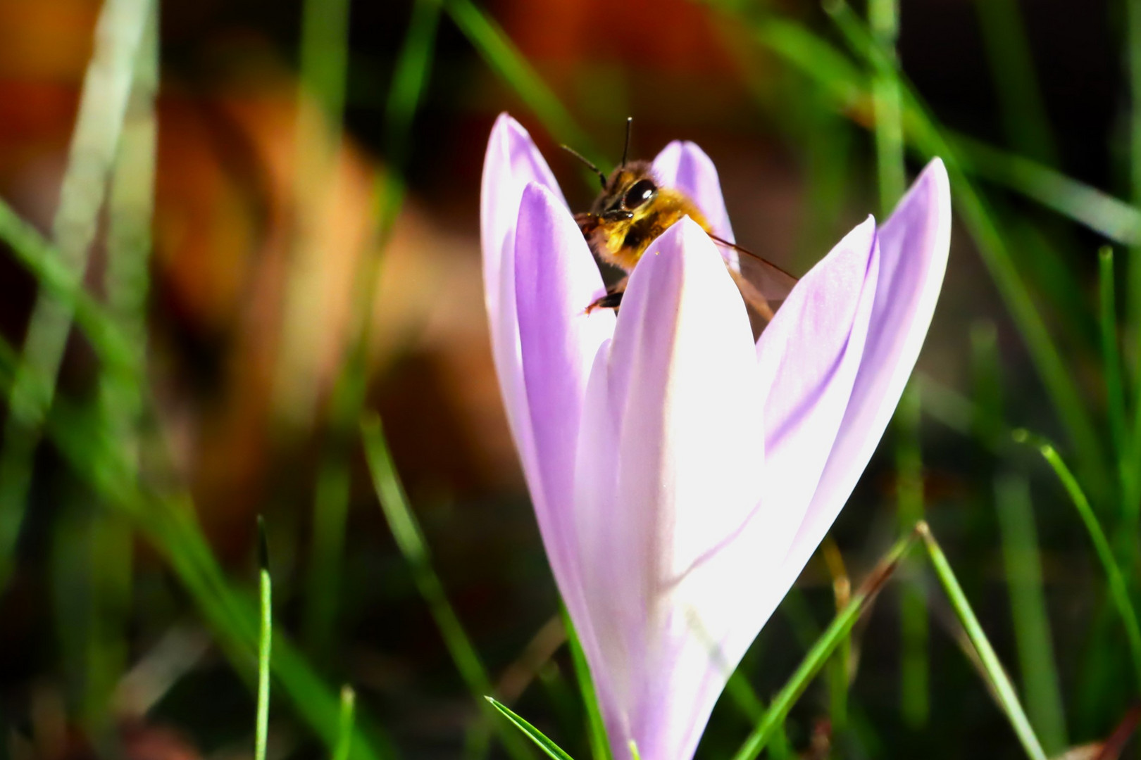 Der Frühling ist da!