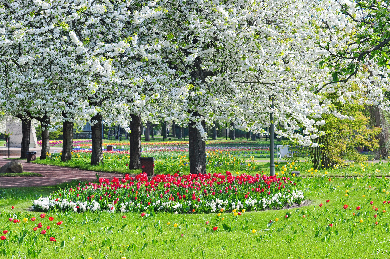 Der Frühling ist da